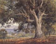 unknow artist Oak Tree painting
